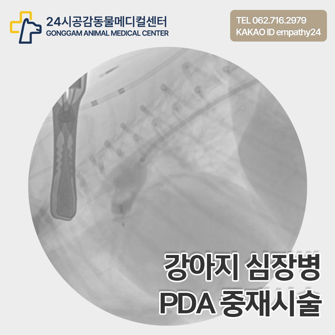 표지 0.png