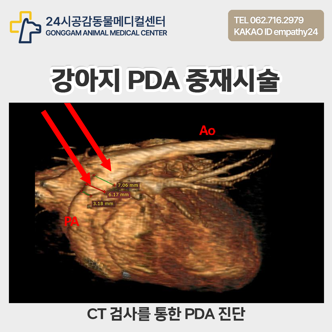 표지 2.png
