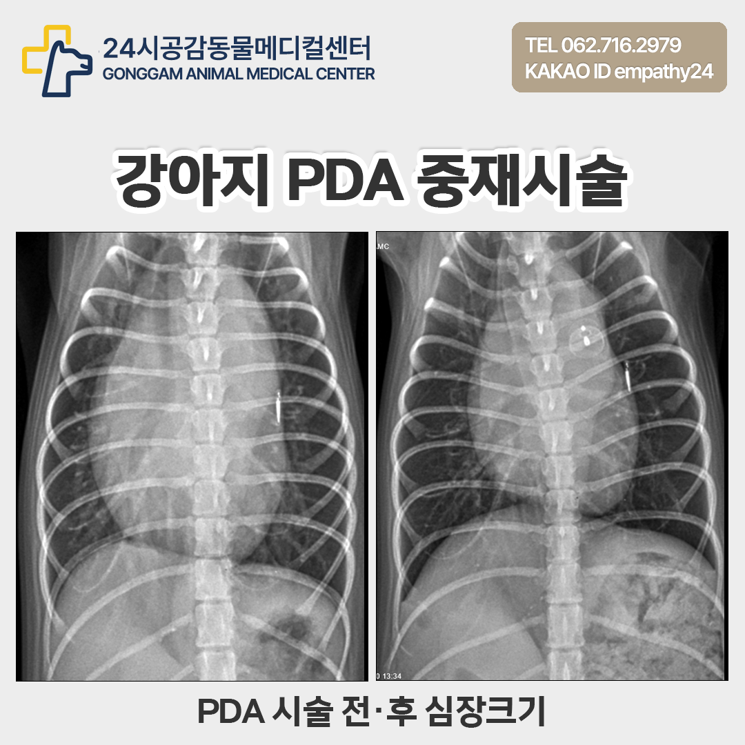 표지 1.png