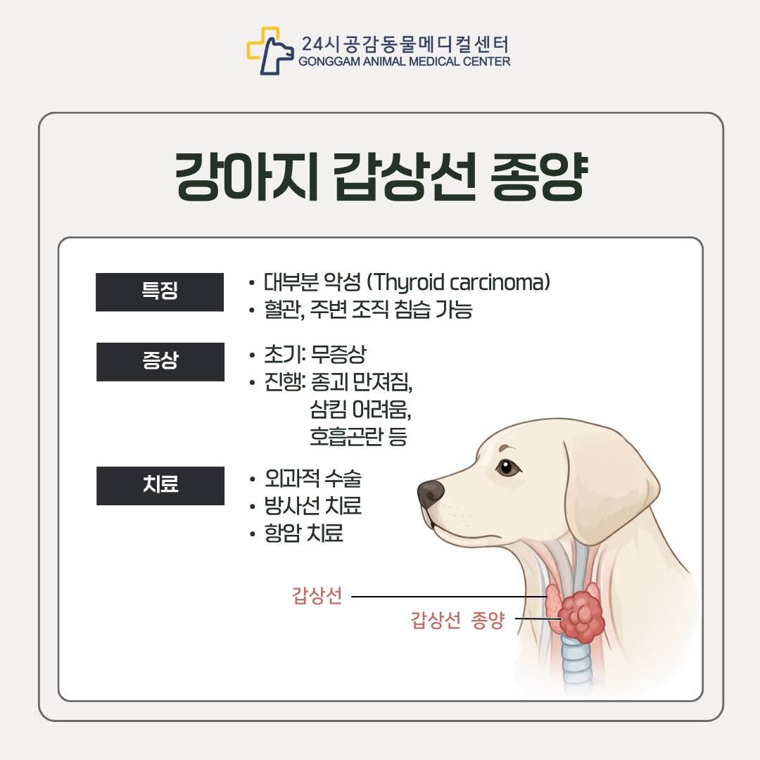 갑상선 종양 특징