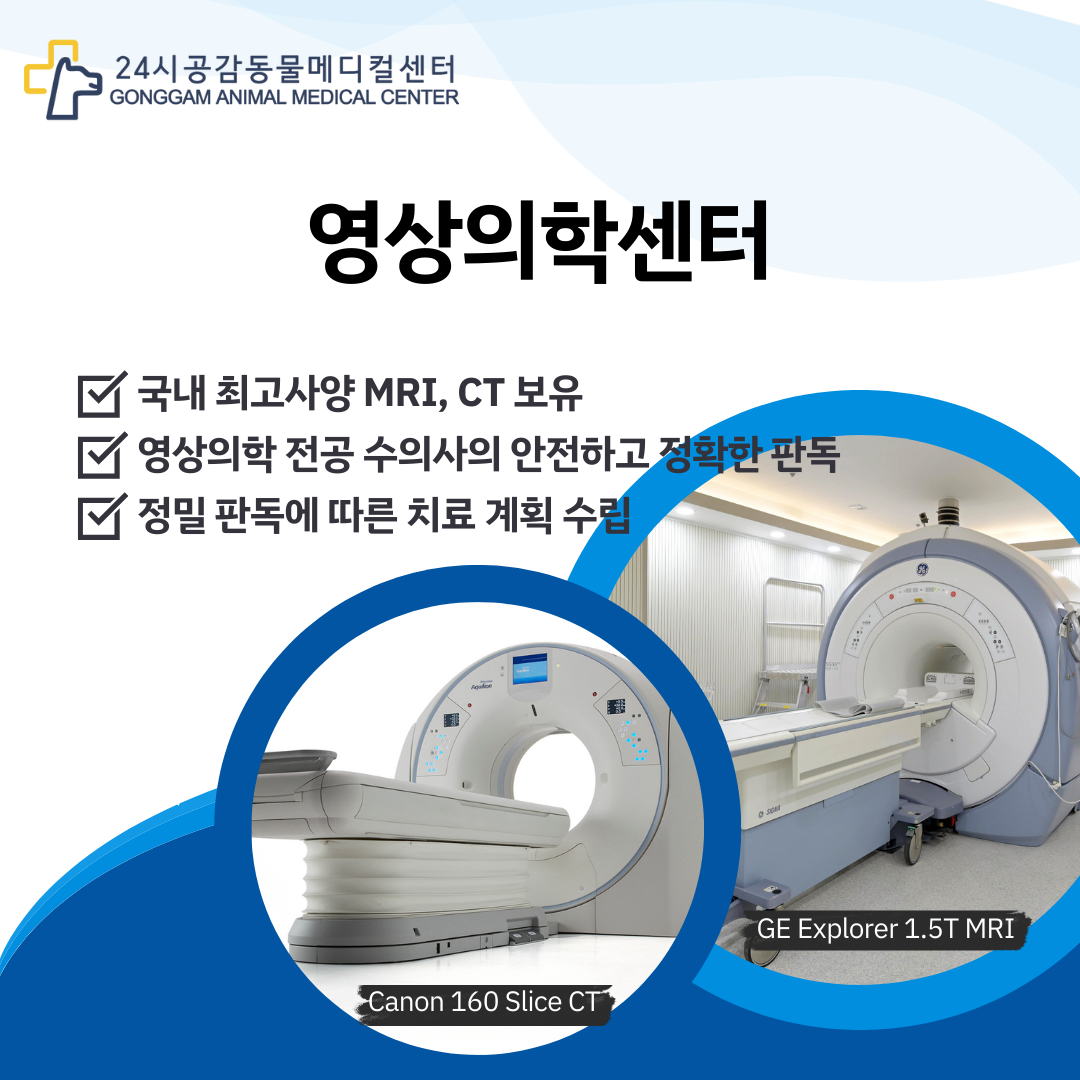 광주 MRI CT 동물병원